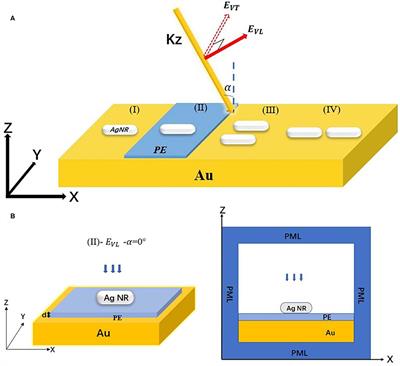 Enhanced Plasmonic Resonance Characteristics of AgNRs–Gold Film Hybrid System